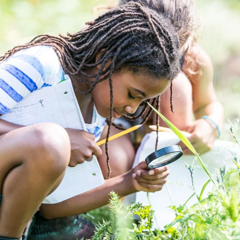 Scallywag Scavenger Hunt