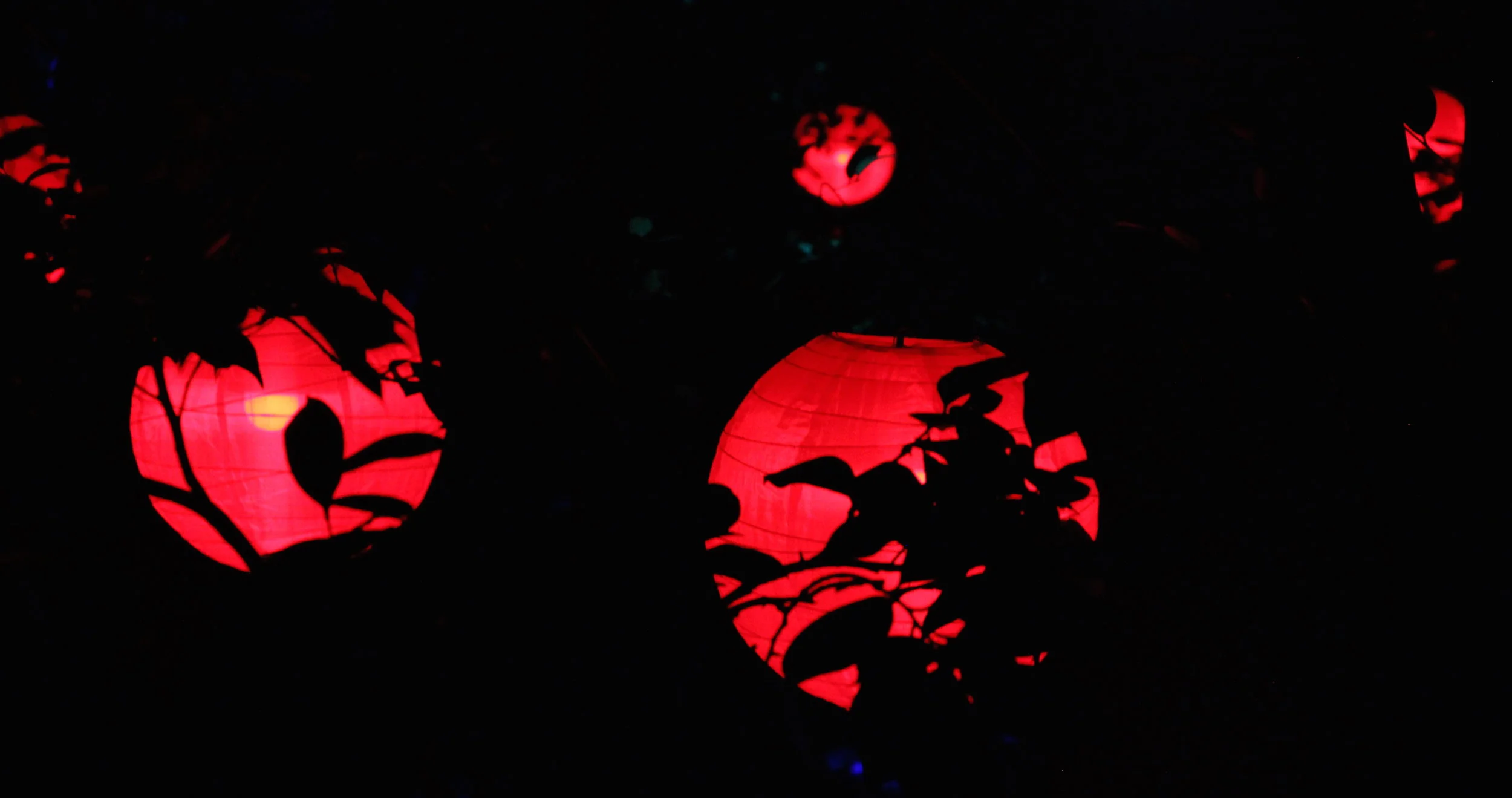  Copyright © 2016 Chelsea Wingo 