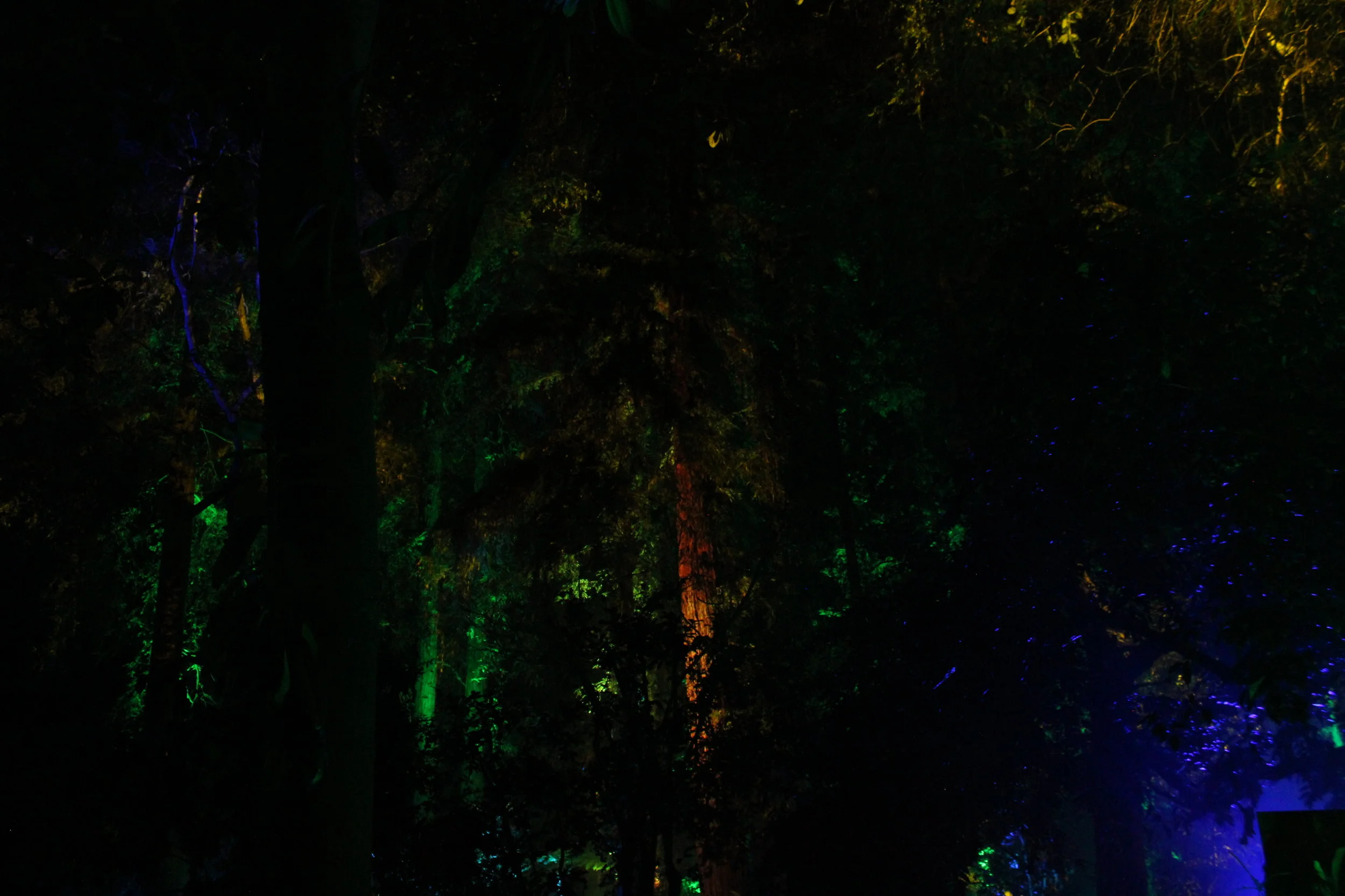  Copyright © 2016 Chelsea Wingo 