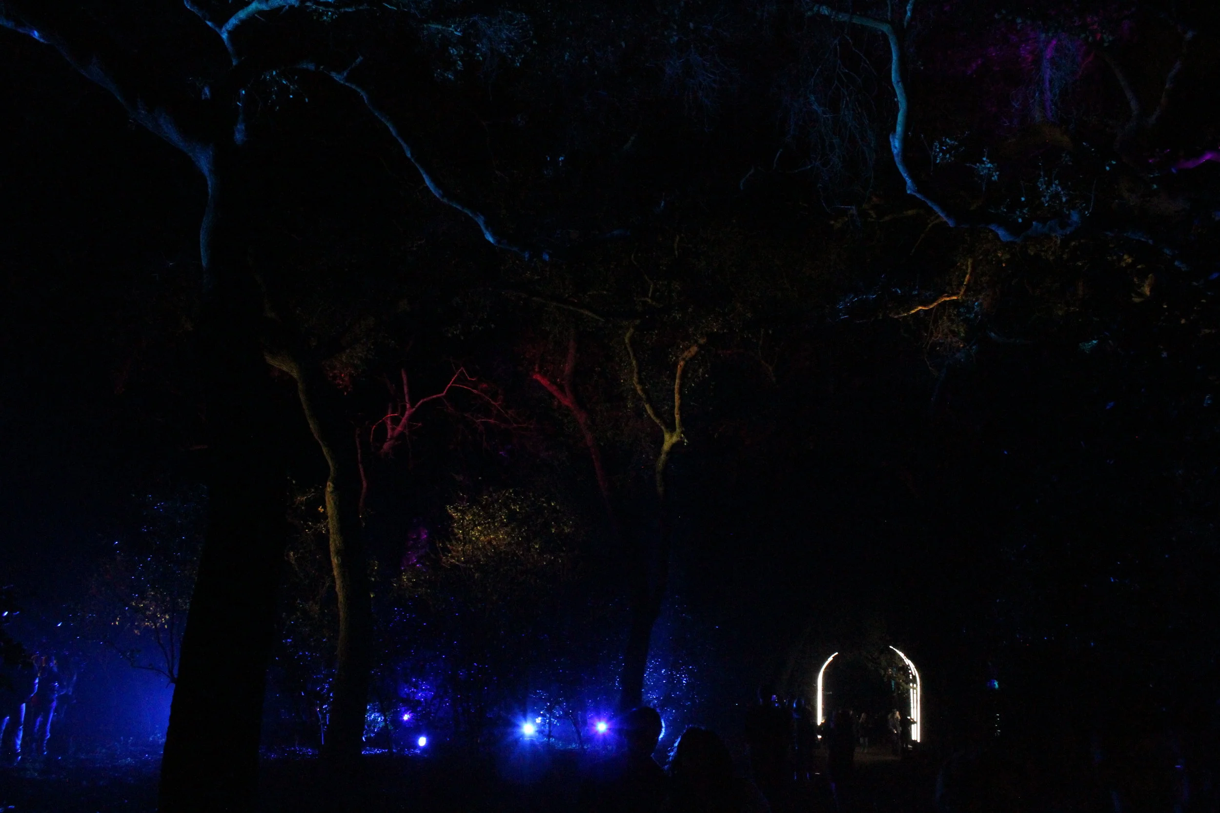  Copyright © 2016 Chelsea Wingo 