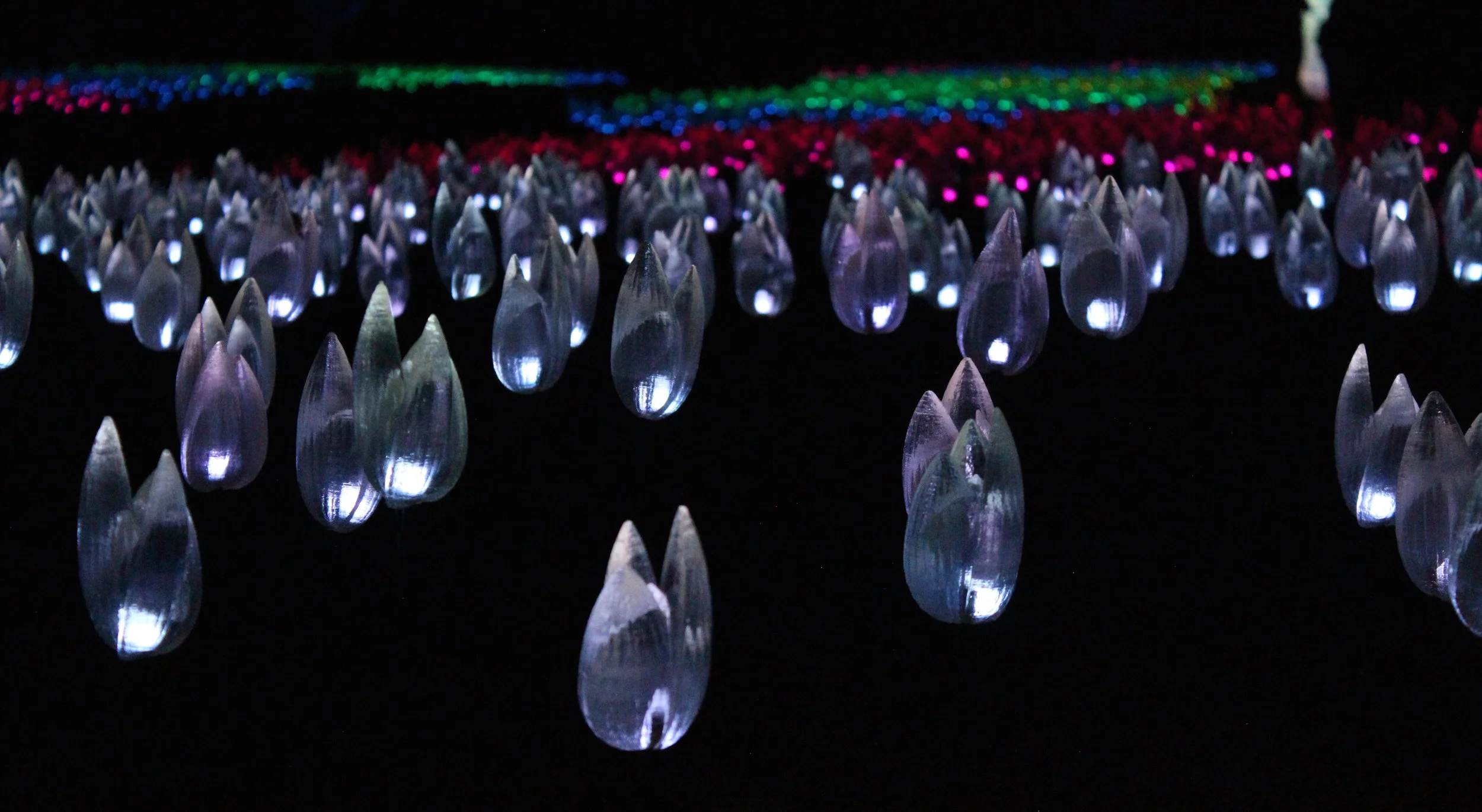  Copyright © 2016 Chelsea Wingo 