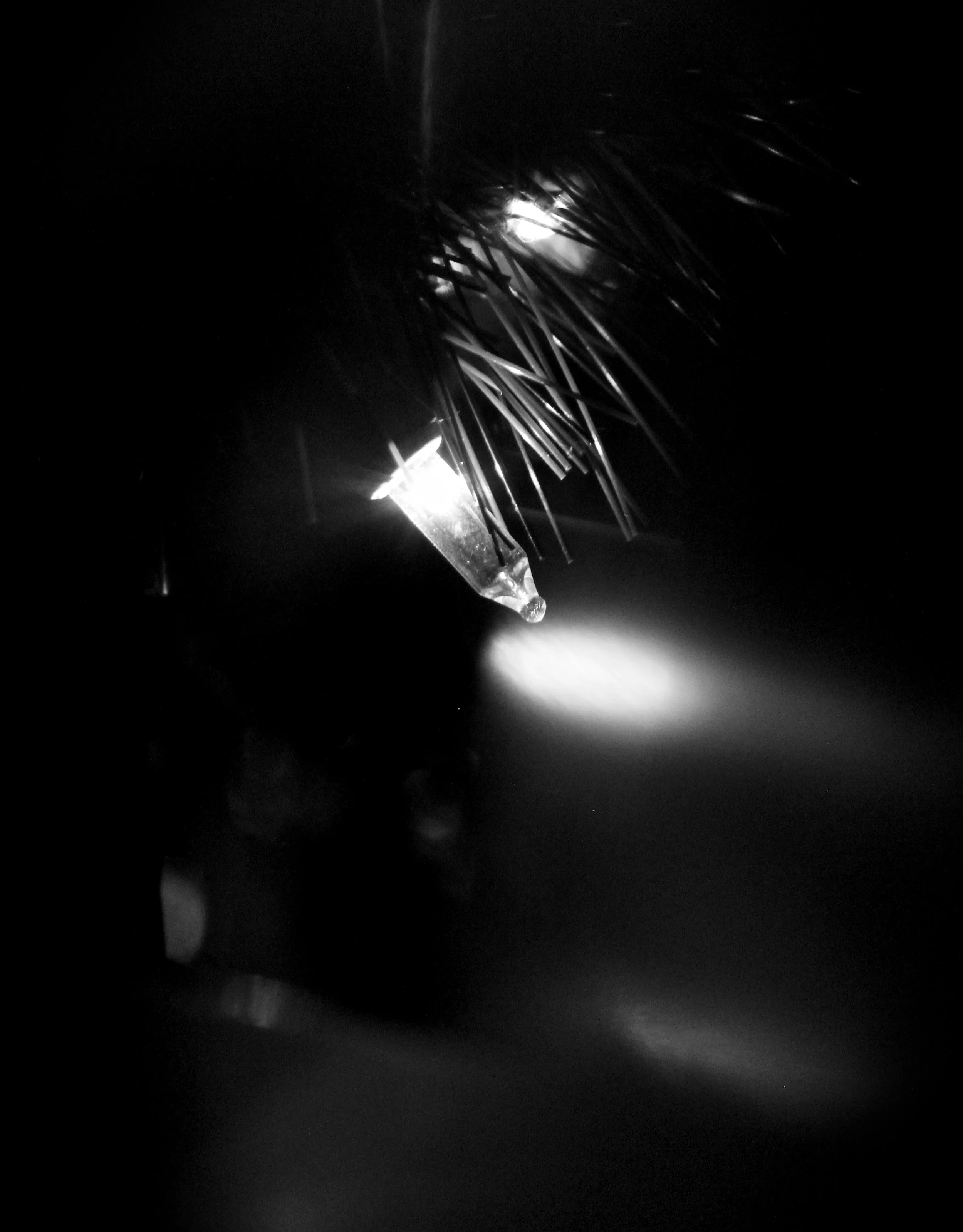  Copyright © 2017 Chelsea Wingo 