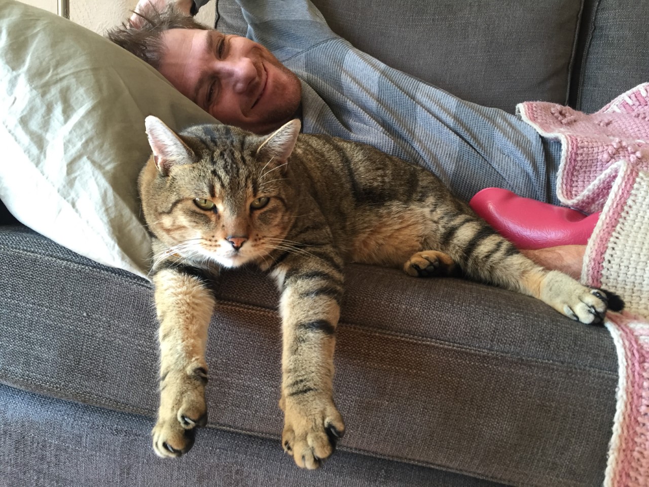 Adoption profile