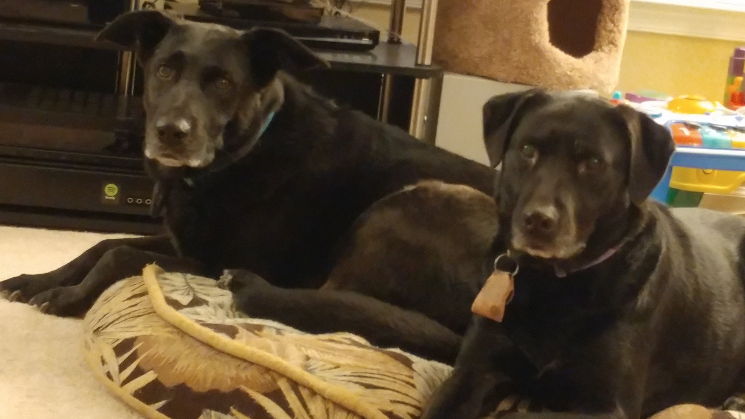 Lennox and Lily