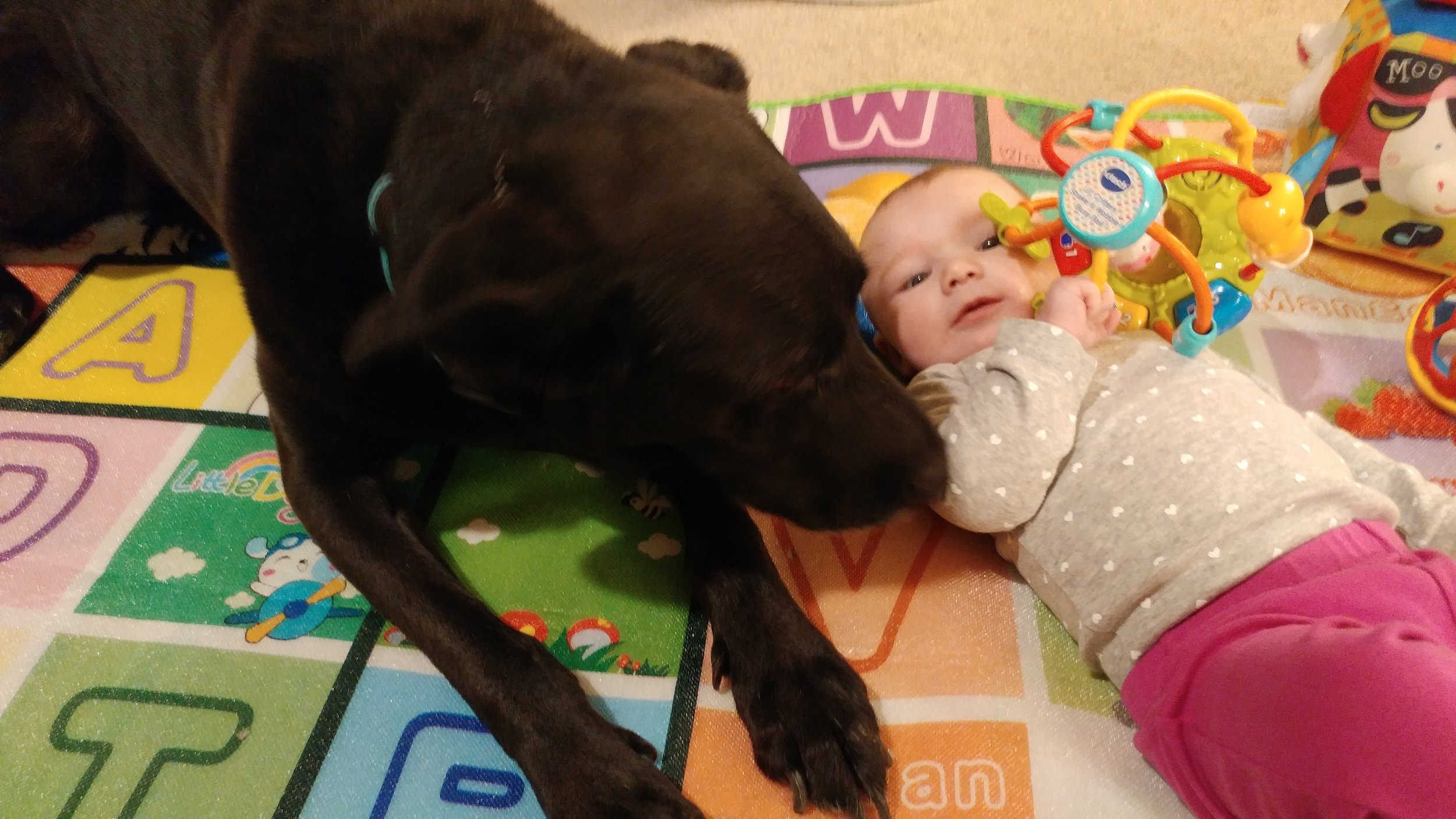 Lennox checking on Christina