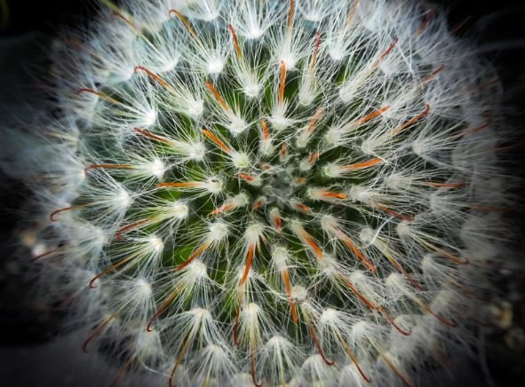 Wellbeing Is a Leadership Strategy