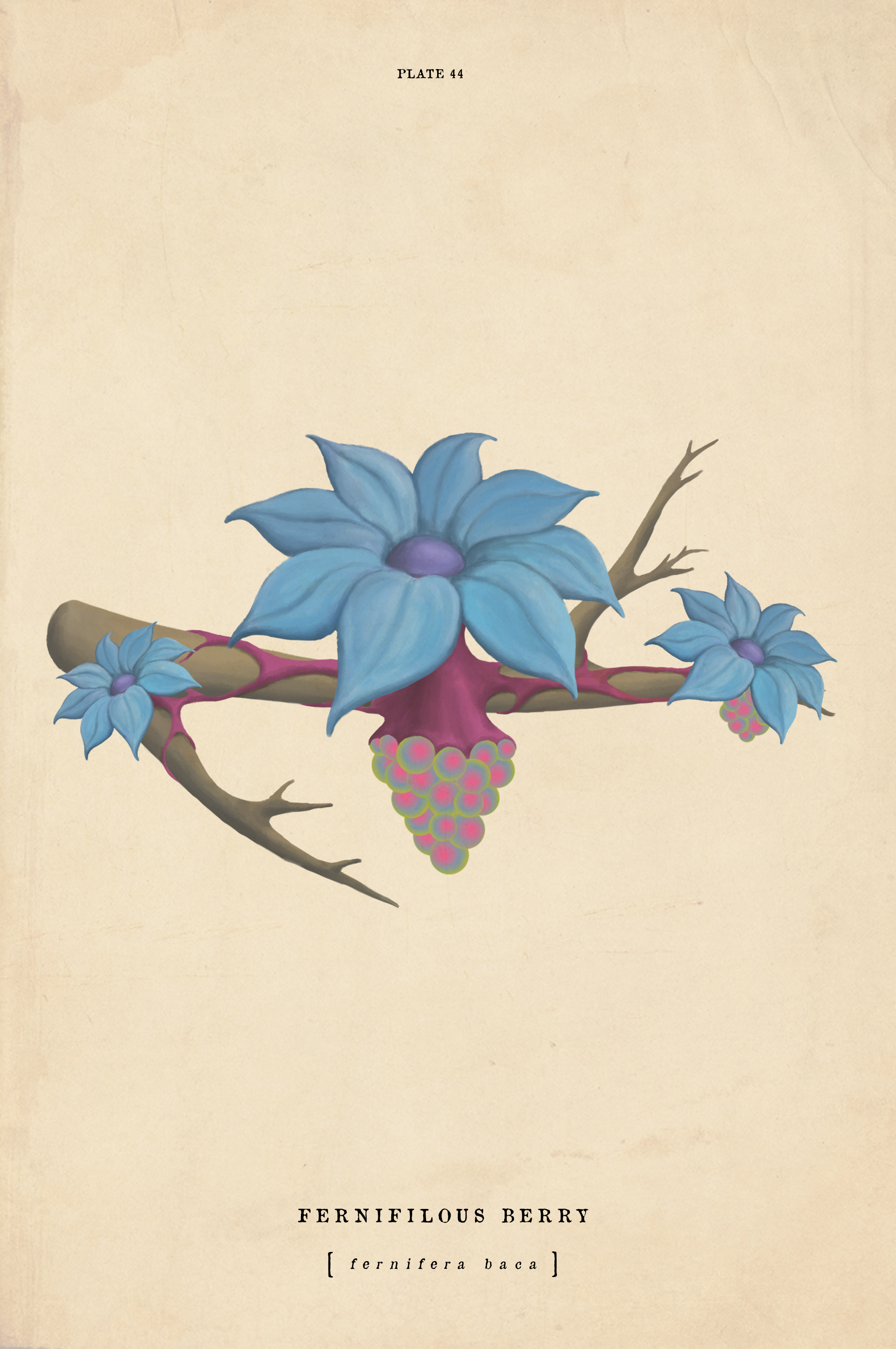 fernifilousberries_toprint.png