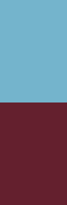 dark-autumn-combination-blue-burgundy.png