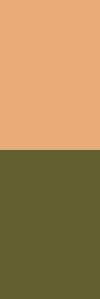 dark-autumn-combination-brown-olive.png