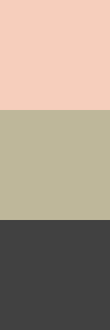 soft-autumn-combination-taupe-pink.png