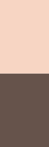 light-spring-combination-brown-peach.png