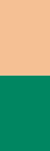 true-spring-combination-green-apricot.png