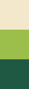 bright-spring-combination-greens.png
