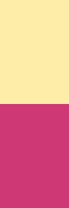 bright-spring-combination-pink-yellow.png
