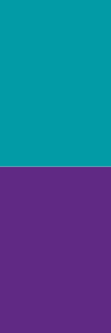 bright-spring-combination-purple-turquoise.png
