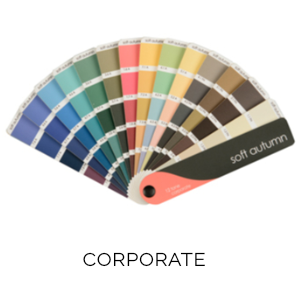 sa-corporate-fan.png
