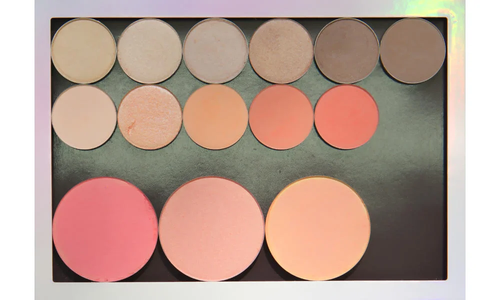 Large freestyle palette from Colour Pop Top row: Rapunzel , Let Me Explain , Shimma Shimma , Ringer , Hipster , Chestnut-Napped Apalis Middle row: Hear Me Out , Ready Or Yacht , Issues , Lay Low , Wait For It Bottom row (blushes): XOXO , Romance , Bliss