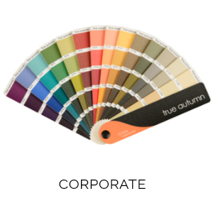 ta-corporate-fan.png