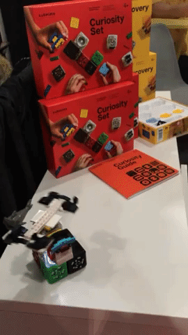 Animated GIF-downsized_large.gif