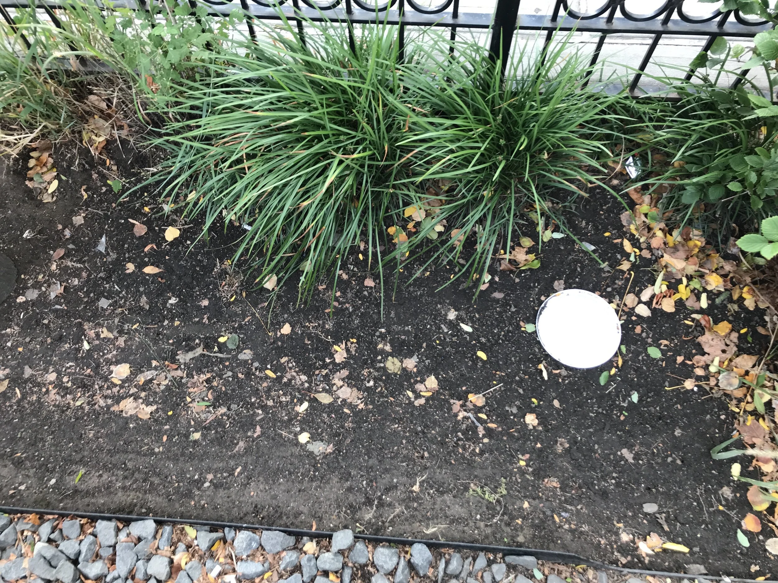 Evidence of “high water mark”