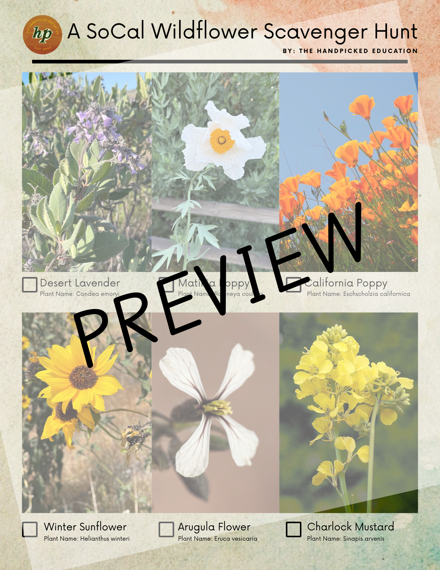 SoCal Wildflower Scavenger Hunt.png