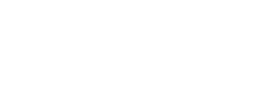 fledgling fund logo.png