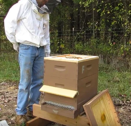Winterizing a bee hive