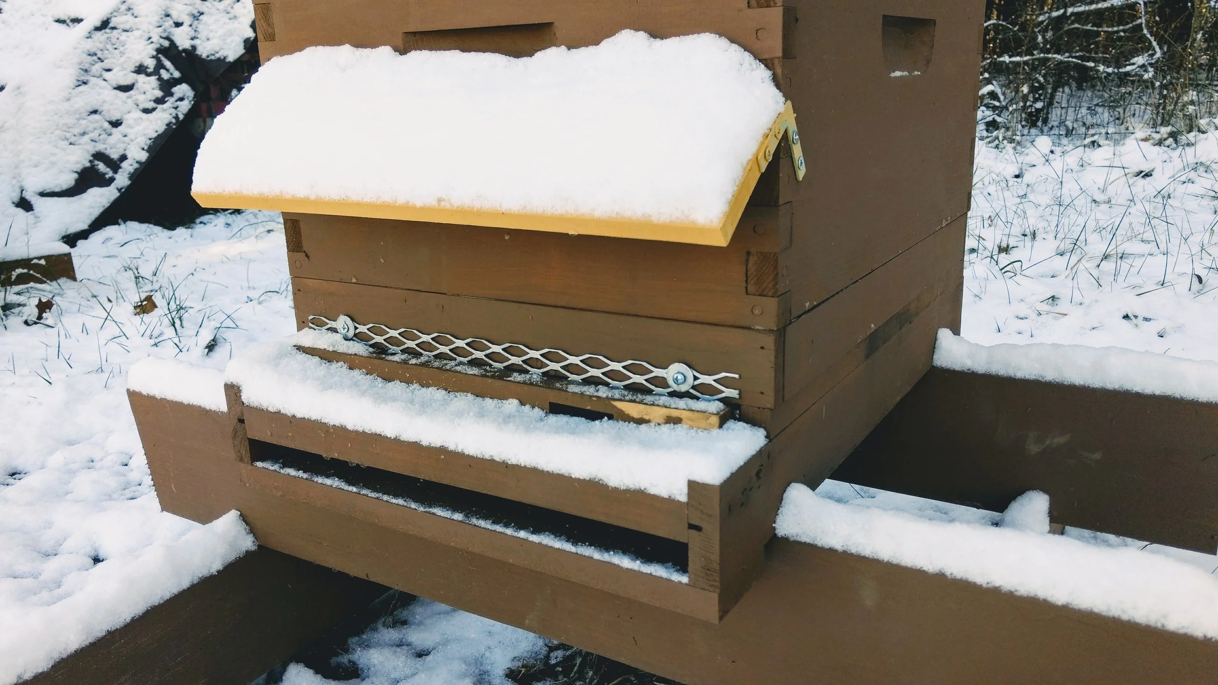 Hive with a snow visor