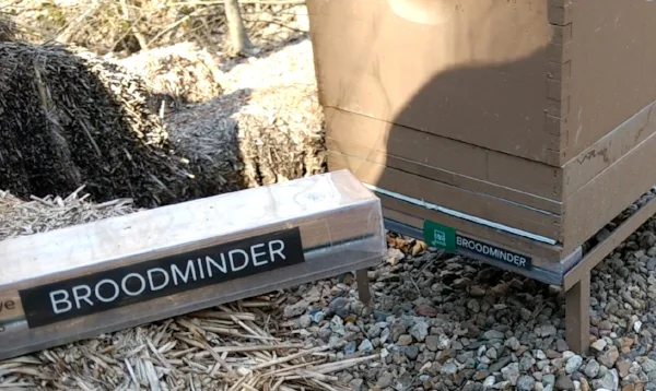 Broodminder-W hive scales