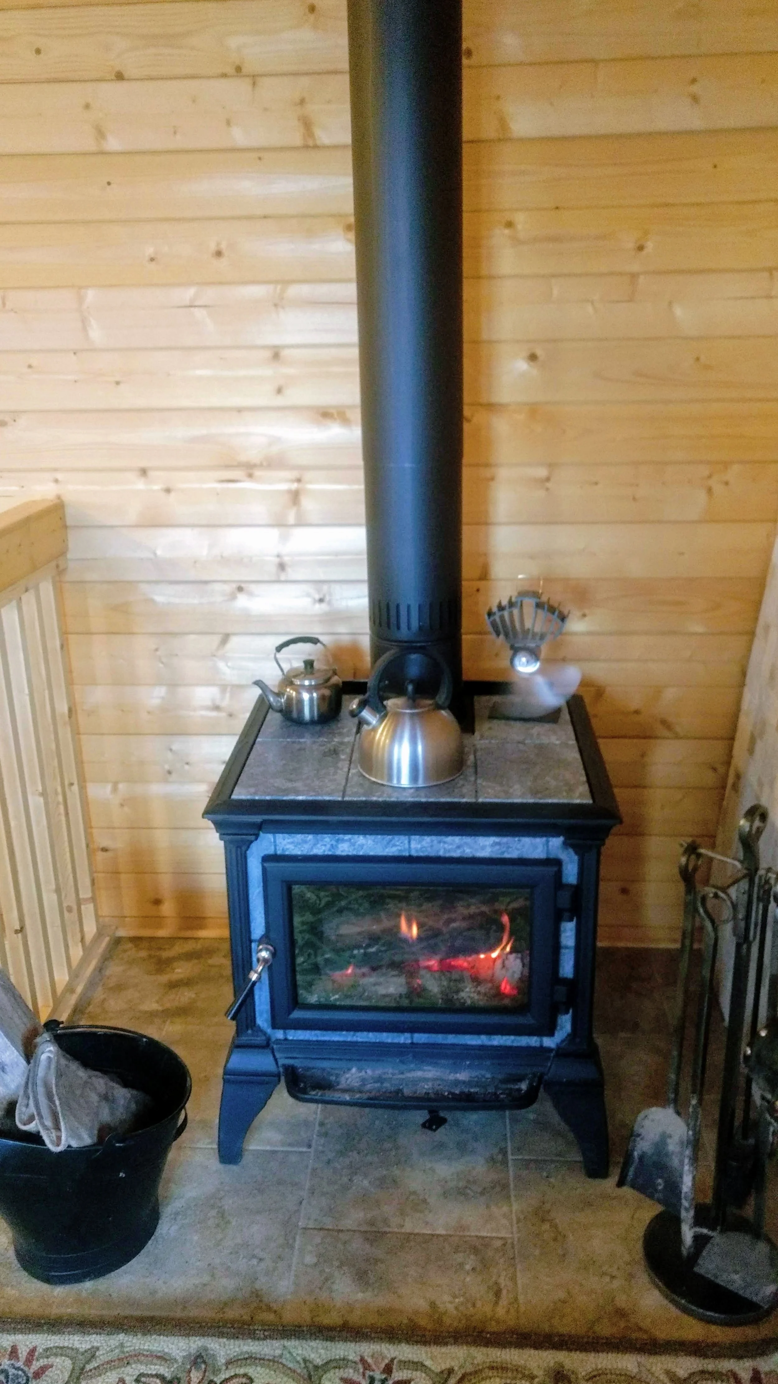My heating is far less efficient than a honey bee colony’s