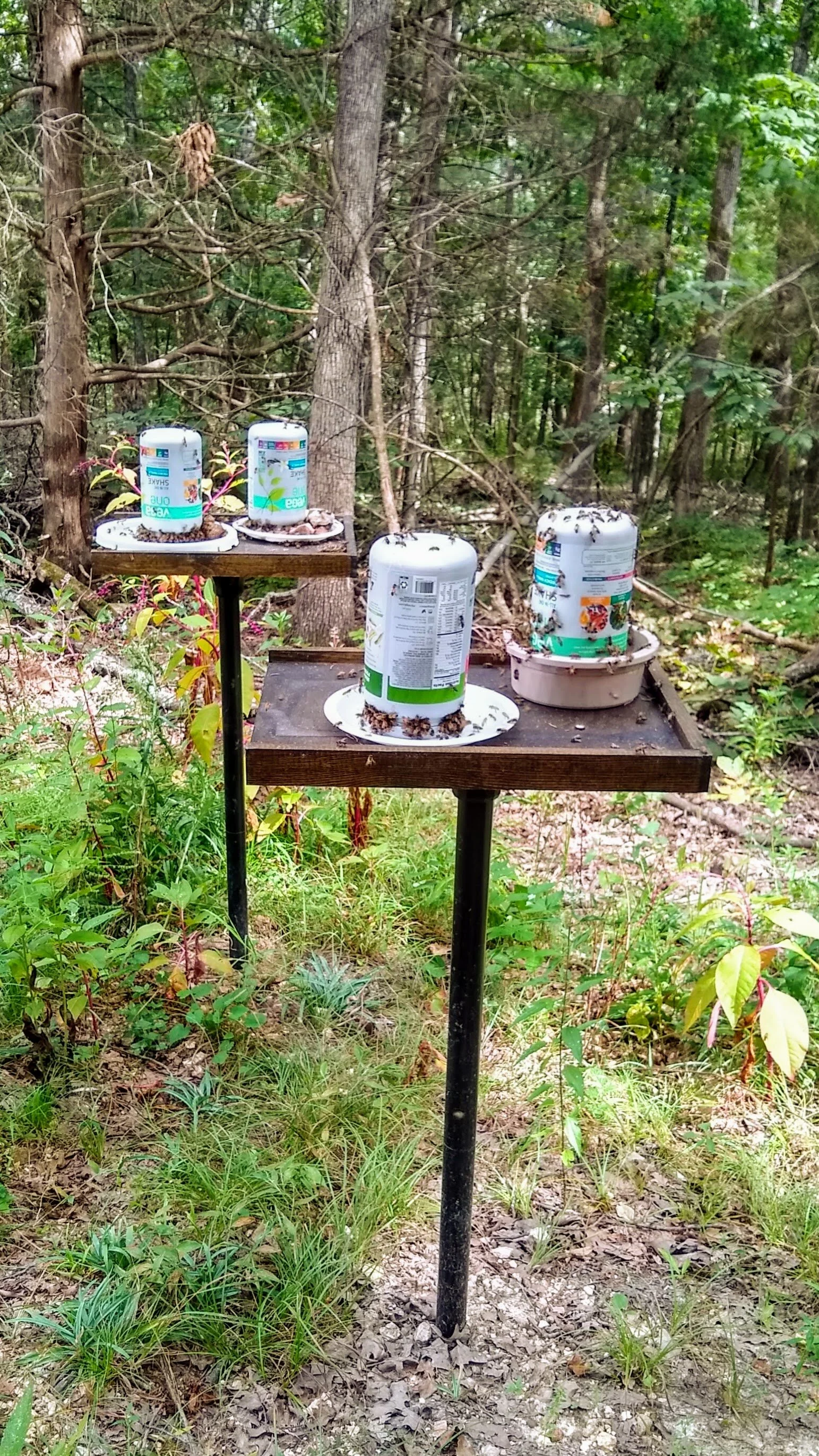Easy Honey Bee Feeding Stations Mitecalculator Com