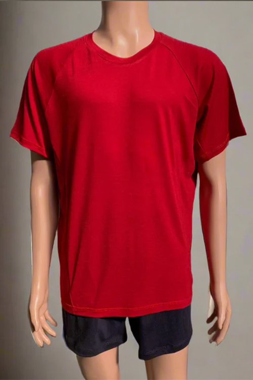 Organic Tee Shirts, short sleeve, made from Merino wool, red colour