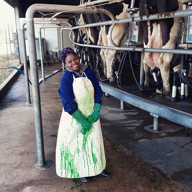 Yandisa Khenya enjoying her first day in the dairy during her in-service training. The students are approaching the end of their first six months and we have received good reports from their host farmers. May they go from strength to strength as thei