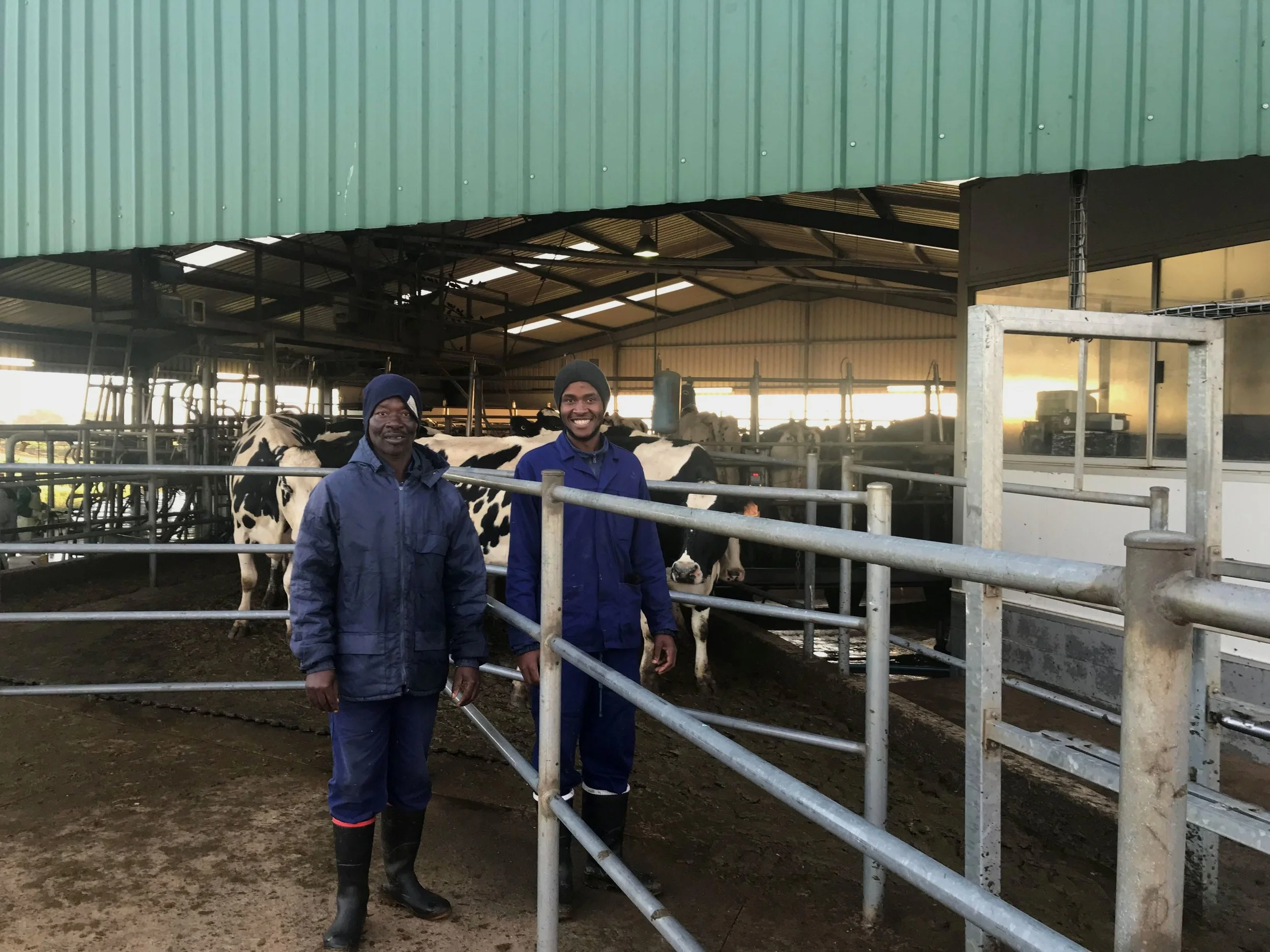Mzilikazi Khumalo (R), a young man with a very promising future in farming, presently undertaking his in-service training on the Hauff’s farm at Mackenzie
