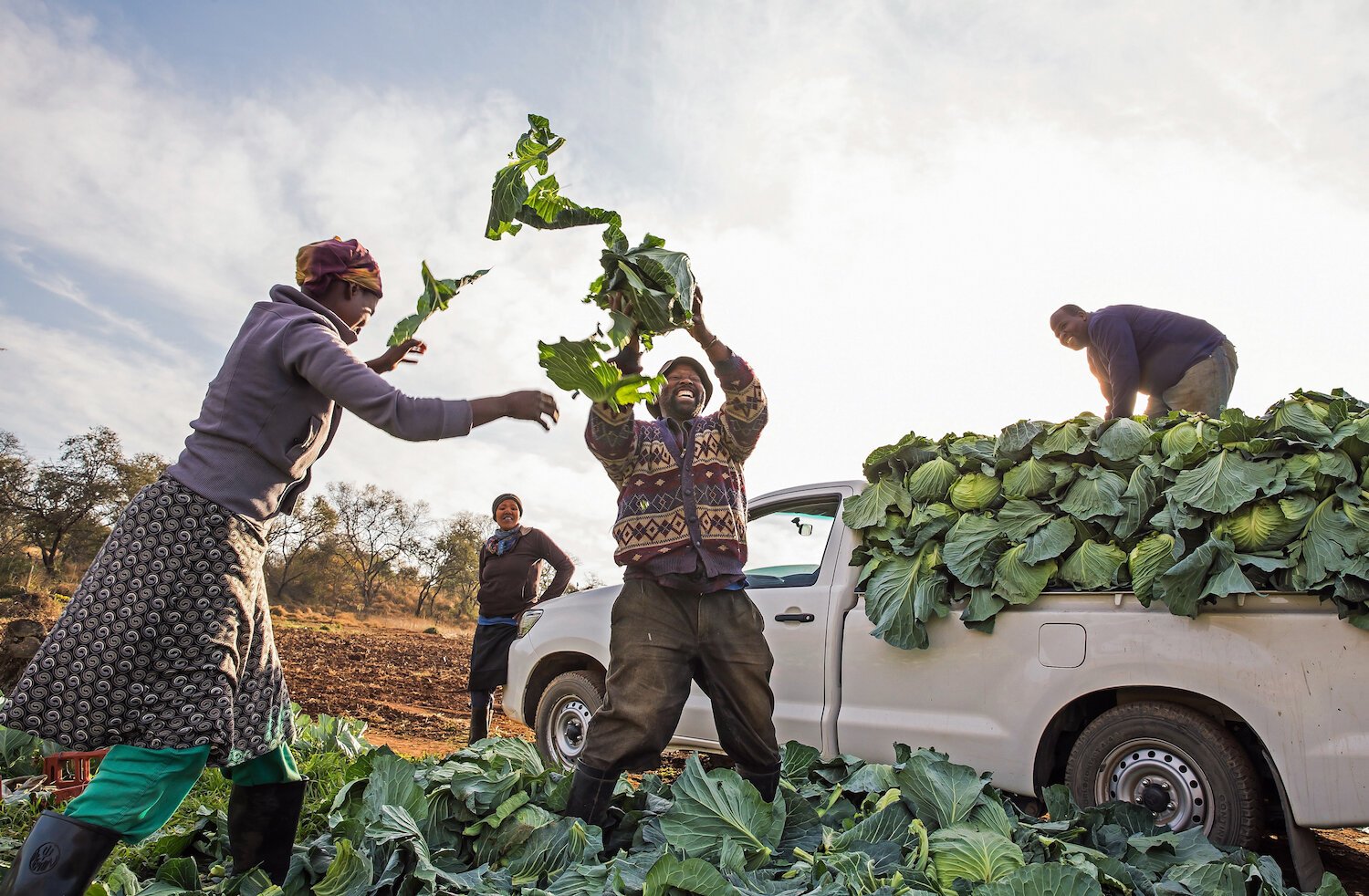 Gehla_Mngoma_Loading_cabbages.jpg