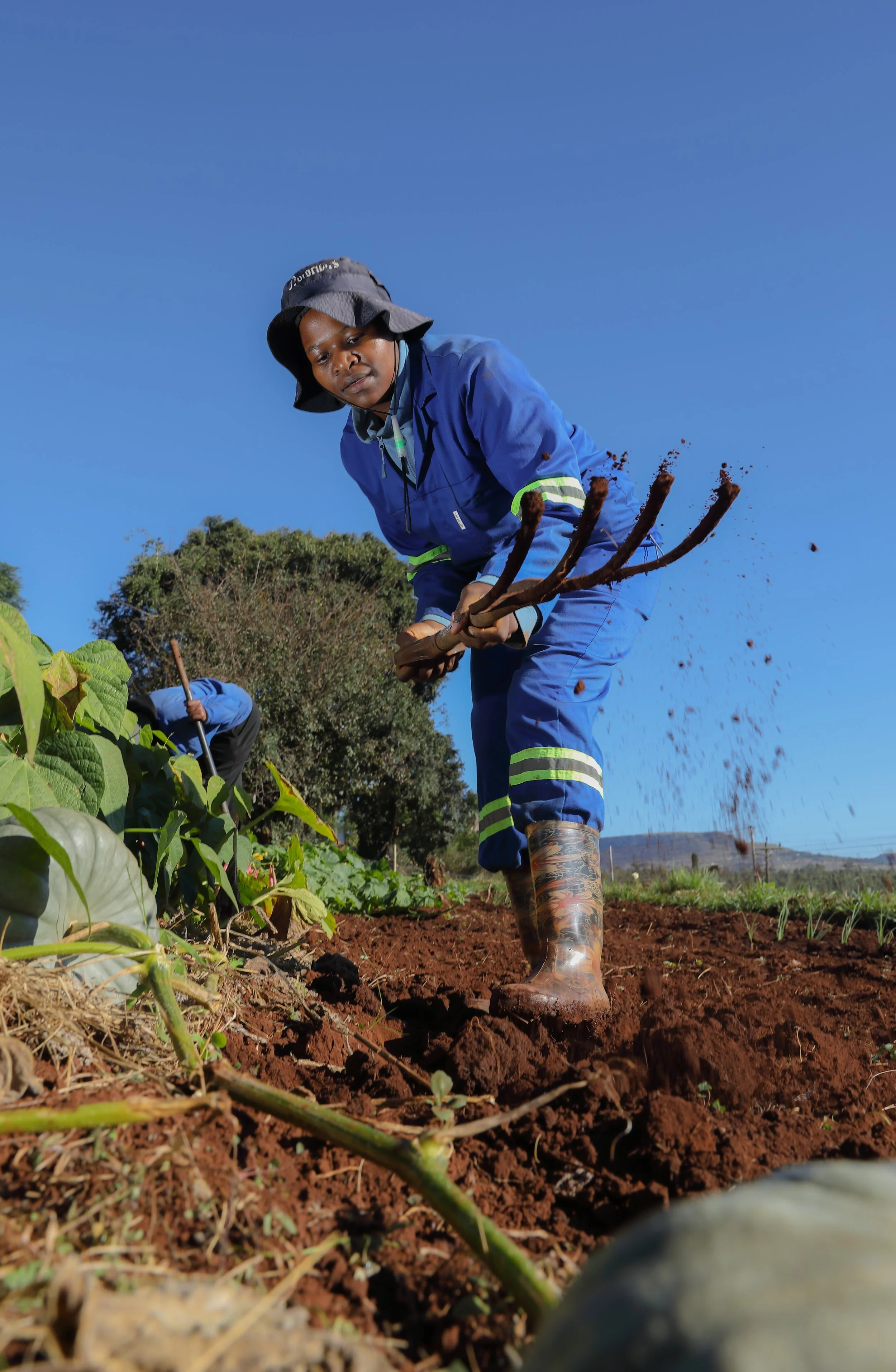 HGA Grow outreach to Hlabeni