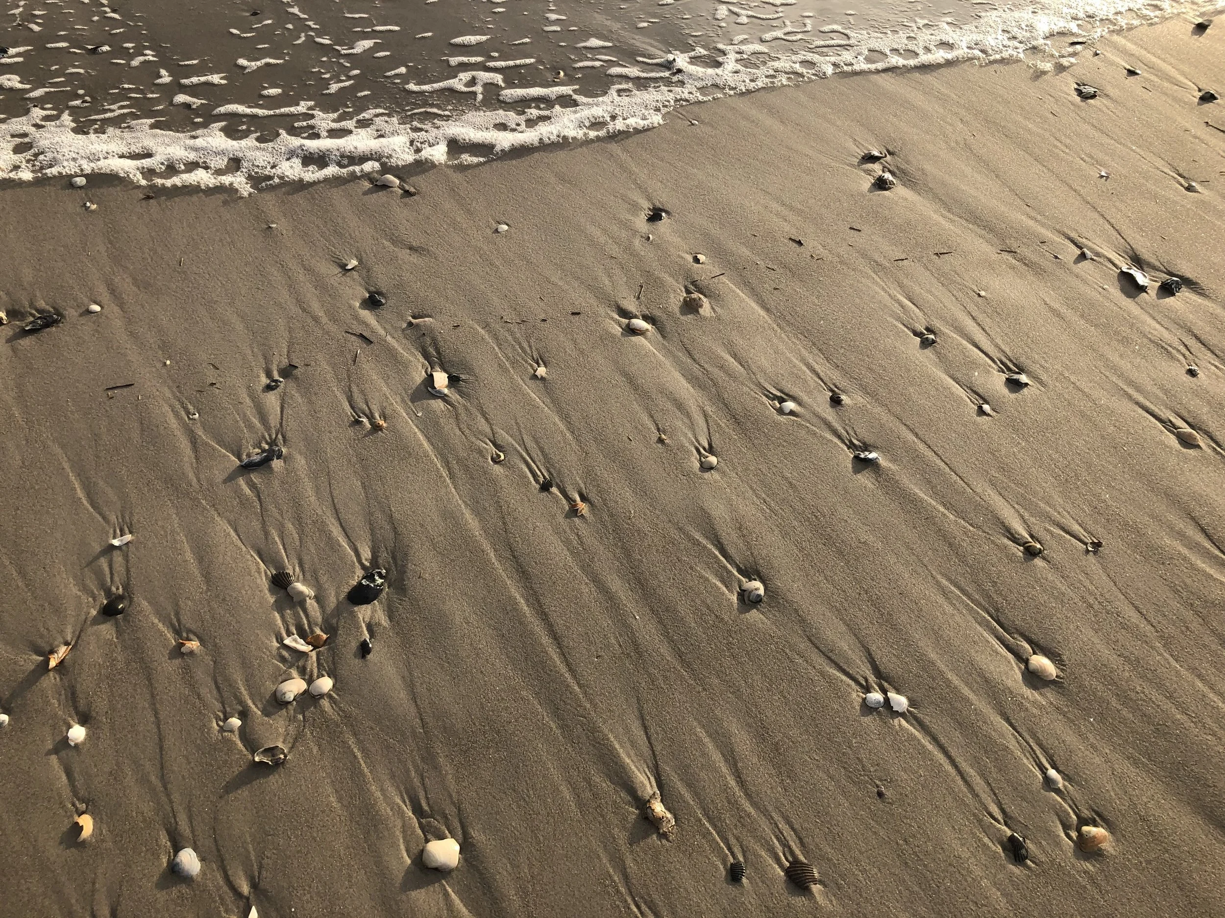   Cemetery of Radiant Things (Post-production)   Director: Augusta X. Thomson  Cinematographer: Augusta X. Thomson  Editor: Augusta X. Thomson  Producer: Augusta X. Thomson &amp; The Culture and Media Program (NYU). 