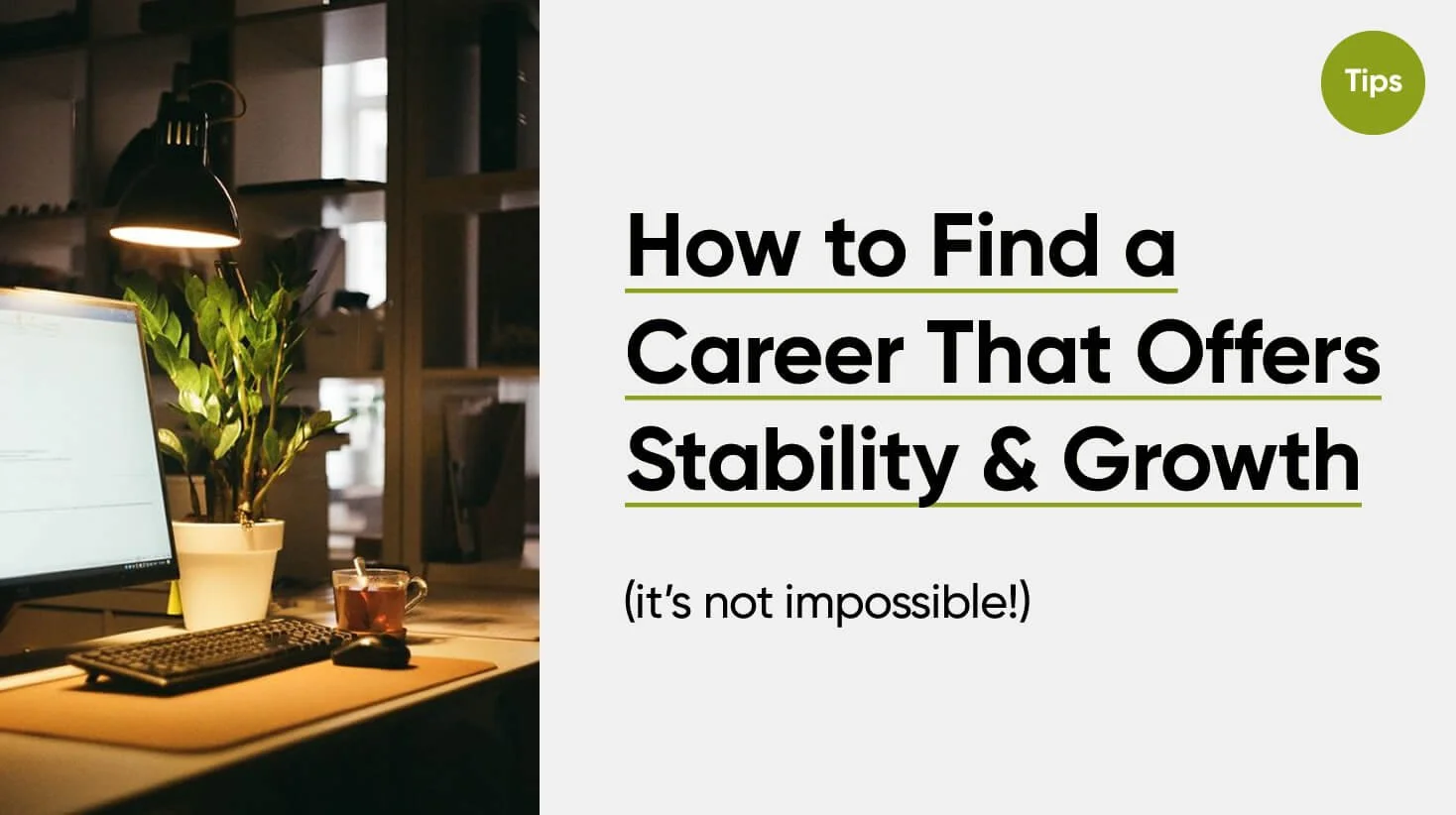 How to find a career that offers stability and growth
