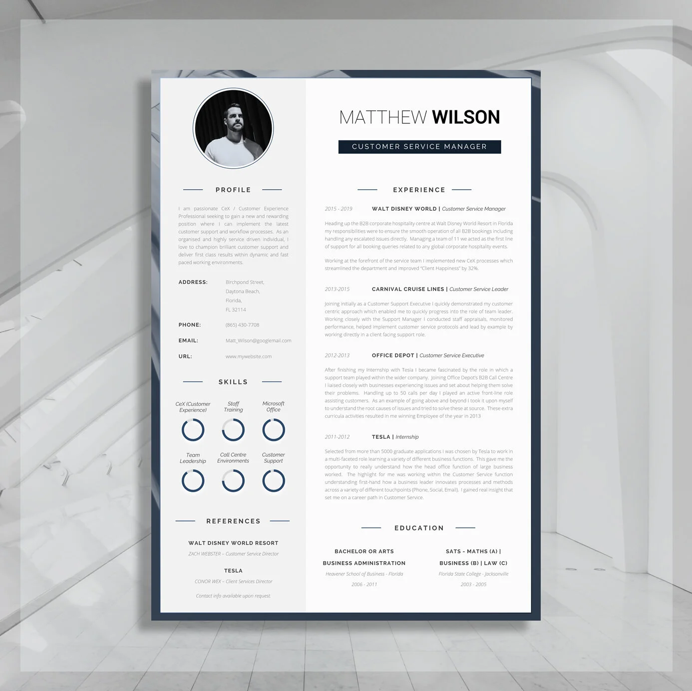 Customer Service CV Templates