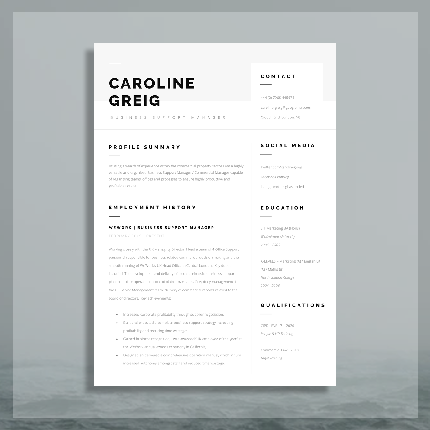 Professional Resume Template for Word - Including Advice, Cover Letter, Reference Templates  - "Siena"
