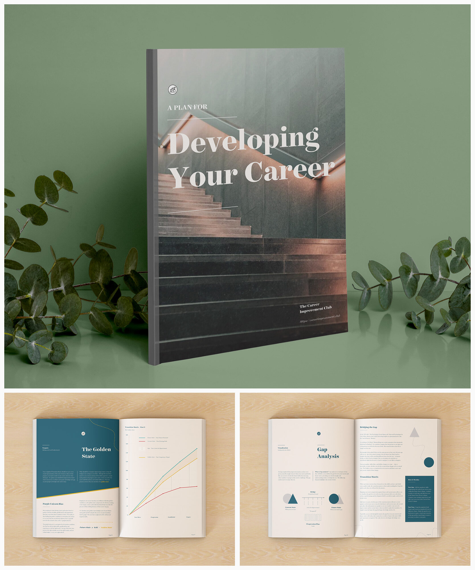 eBook on making the correct career choices. A plan for developing a career