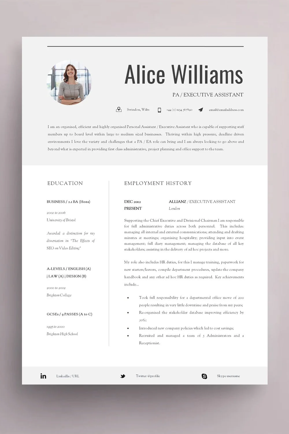 Modern professional CV example with modern layout, clean typography and a structured employment history.