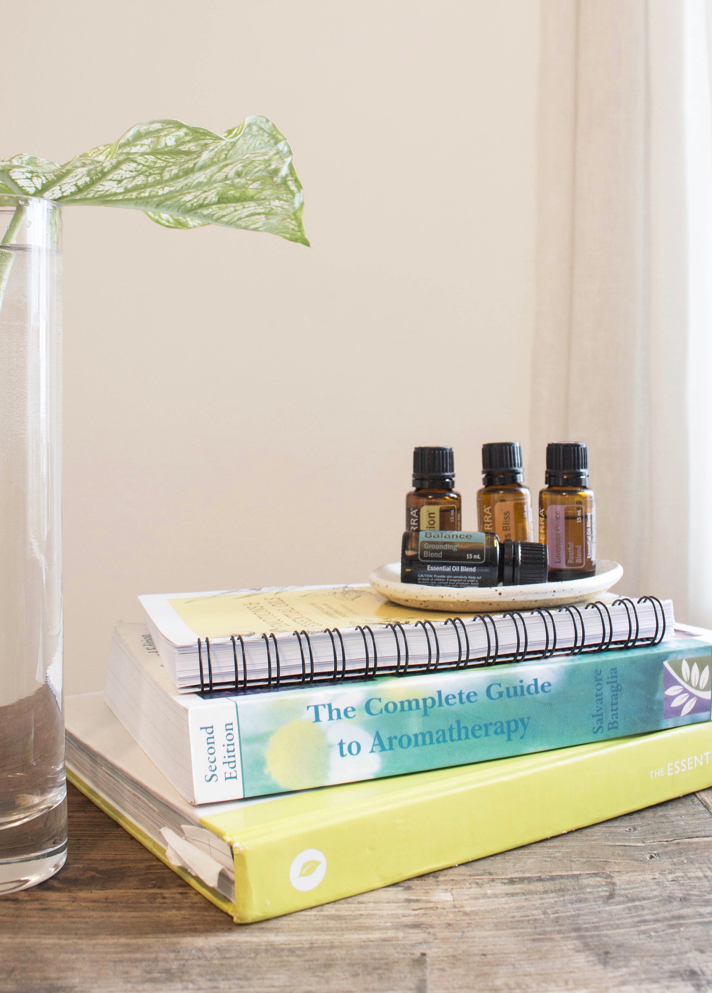 01 - wellness consult