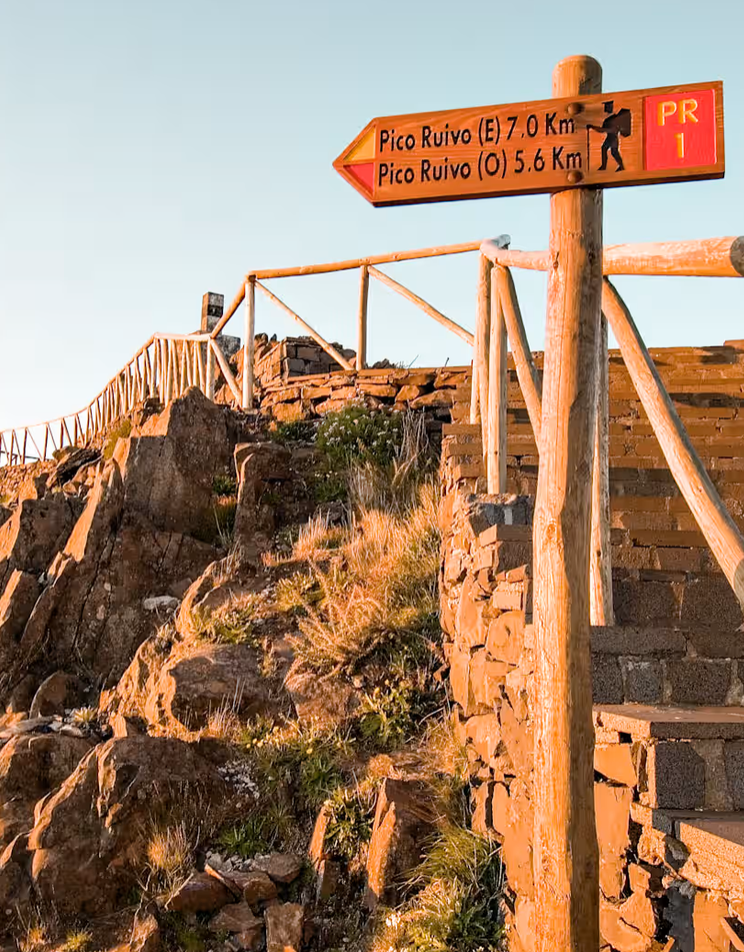 Skærmbillede 2026-03-09 kl. 14.09.19.png