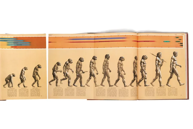 Rudolph Zallinger’s March of Progress, Early Man , Time-Life Books, 1965