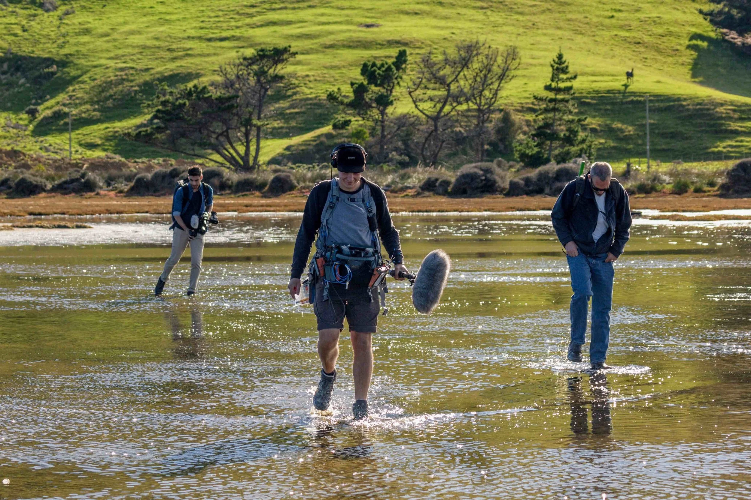 website header smaller.jpg