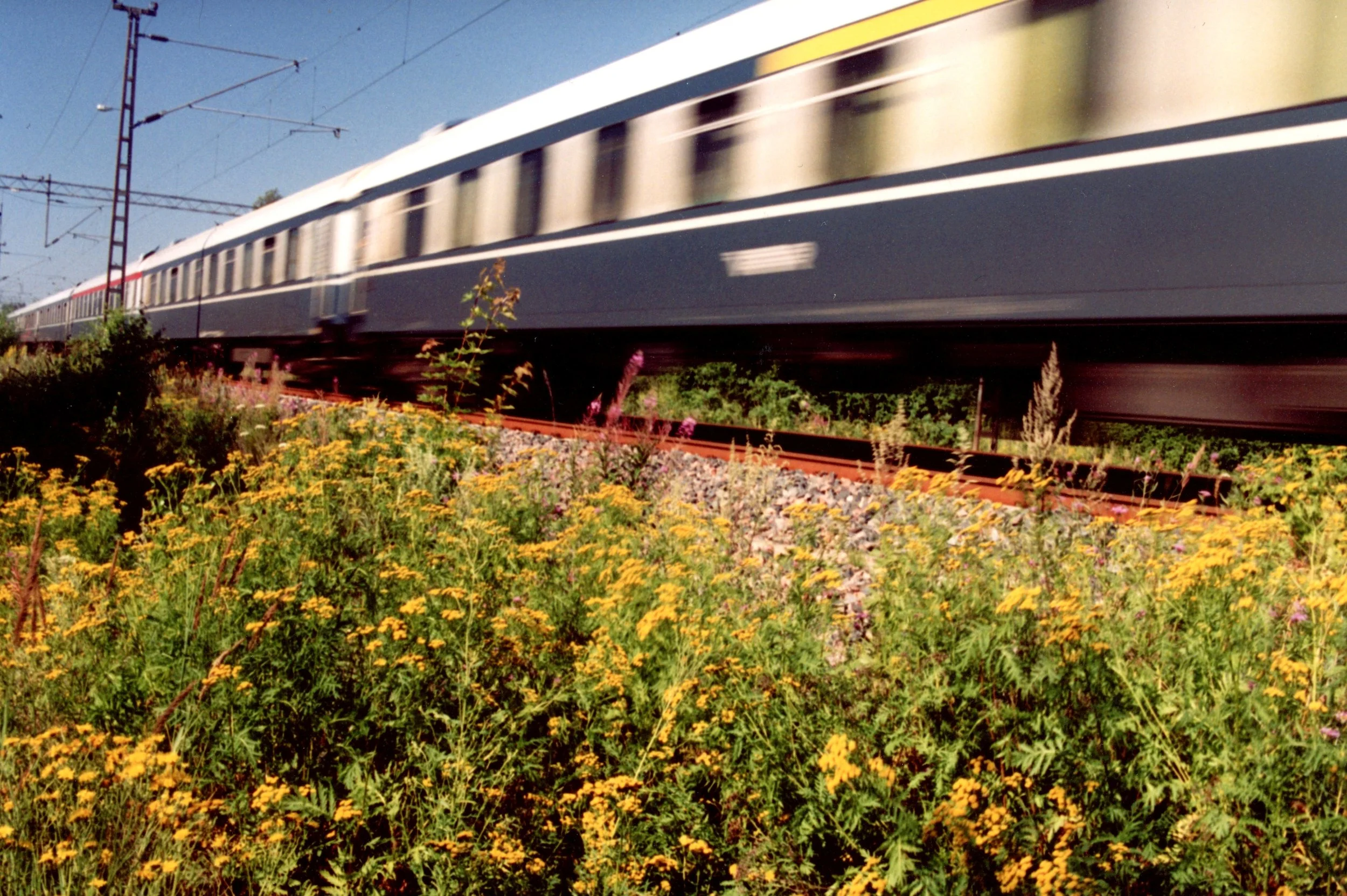 VR tutkitutti: Tamperelaisilla muita heikommat kesähermot