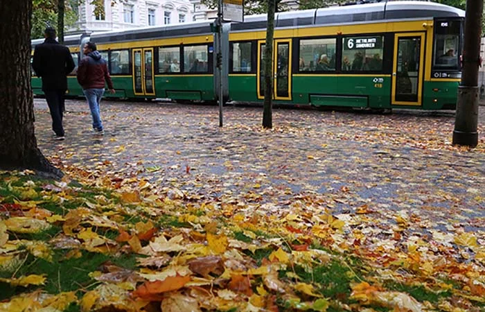 HSL: Lehtikeli kiusaa ratikkaliikennettä