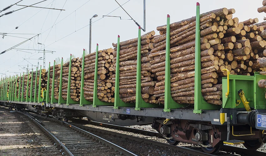 VR sai uuden talousjohtajan metsäteollisuudesta