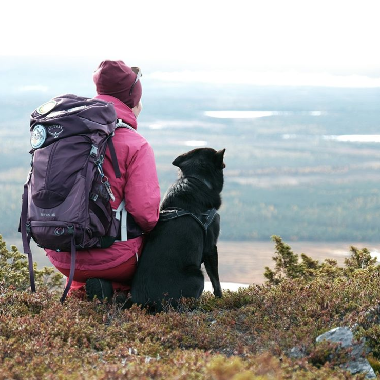 VR tarjoilee ruskaa Rautatientorilla